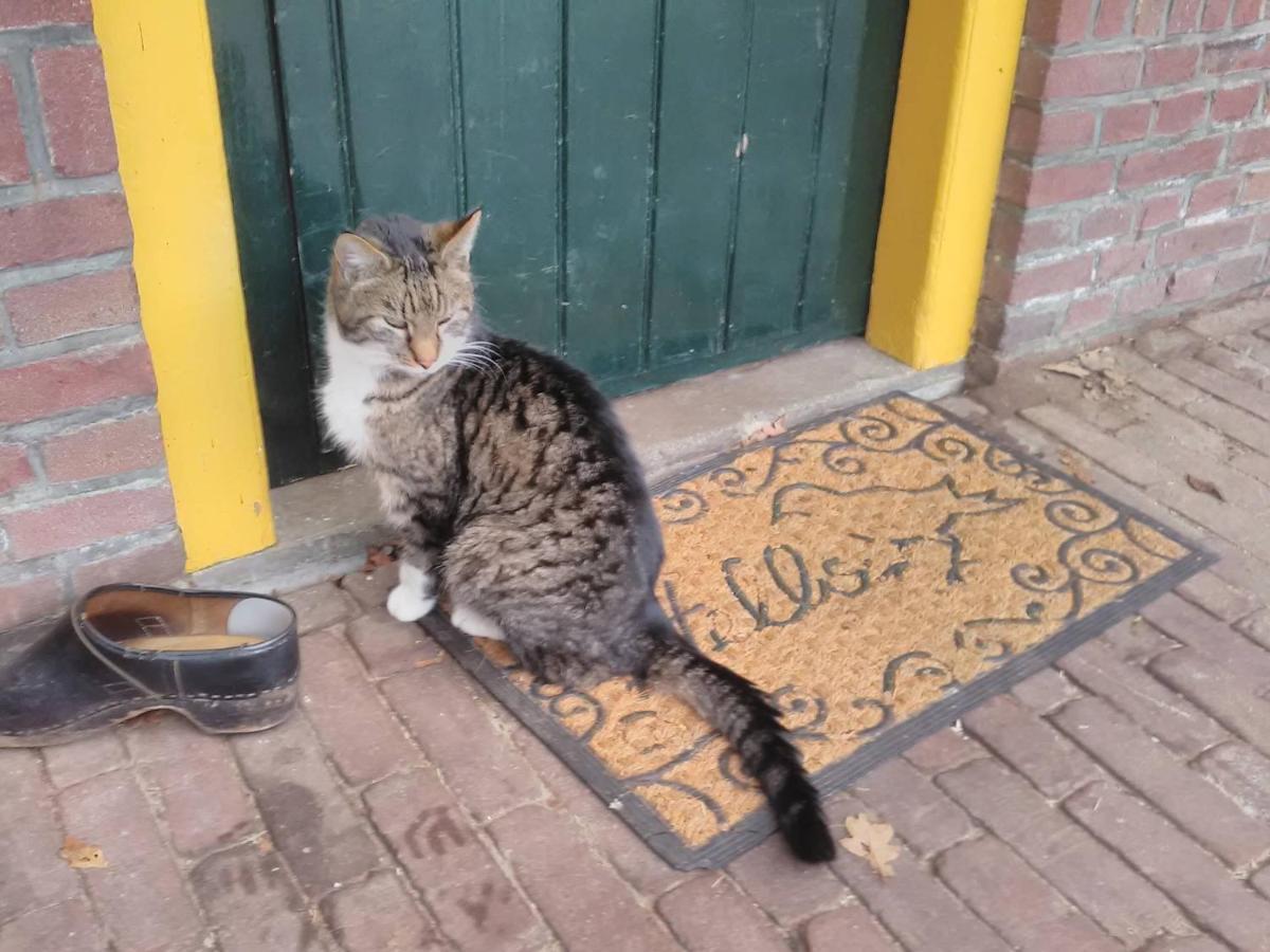 Appartement Hoeve Polsdonk Oirschot Esterno foto